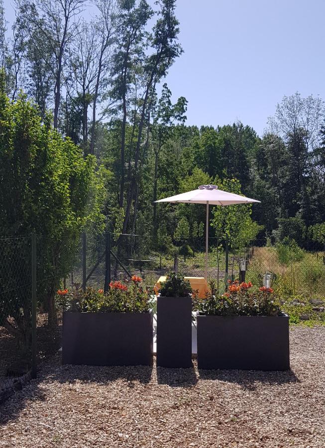 Agreable Petite Maison Proche Joigny Chamvres Ngoại thất bức ảnh